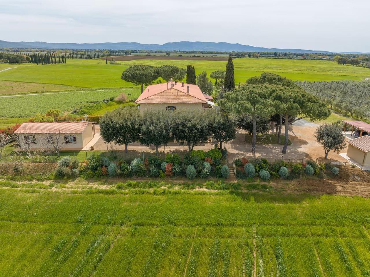 Agriturismo I Debbi Біббона Екстер'єр фото
